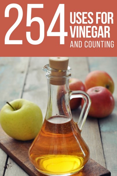 254 Uses for Vinegar. And Counting.